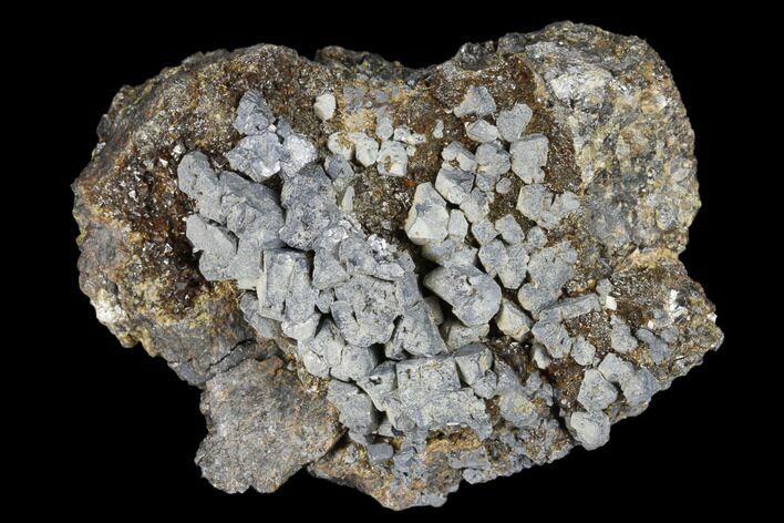 Sphalerite On Galena Specimen - Pine Point Mine, Canada #174030